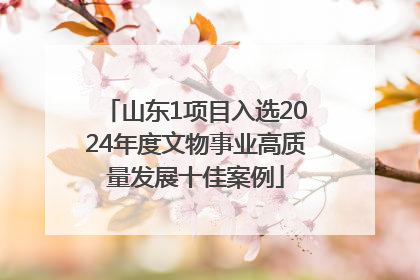 山东1项目入选2024年度文物事业高质量发展十佳案例