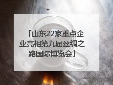 山东22家重点企业亮相第九届丝绸之路国际博览会