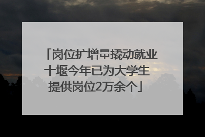 岗位扩增量撬动就业 十堰今年已为大学生提供岗位2万余个