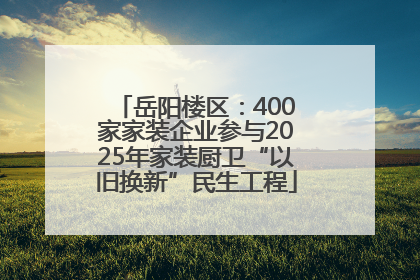 岳阳楼区：400家家装企业参与2025年家装厨卫“以旧换新”民生工程
