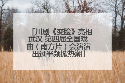 川剧《变脸》亮相武汉 第四届全国戏曲（南方片）会演演出过半频掀热潮