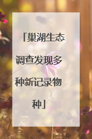 巢湖生态调查发现多种新记录物种