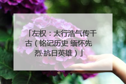 左权：太行浩气传千古（铭记历史 缅怀先烈·抗日英雄）