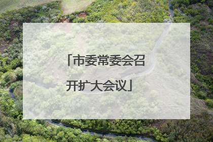 市委常委会召开扩大会议
