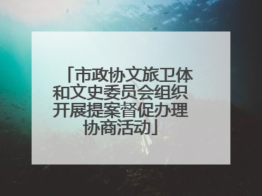 市政协文旅卫体和文史委员会组织开展提案督促办理协商活动