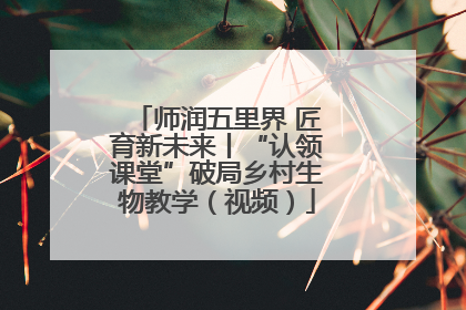 师润五里界 匠育新未来丨“认领课堂”破局乡村生物教学（视频）
