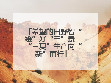 希望的田野智“绘”好“丰”景 “三夏”生产向“新”而行