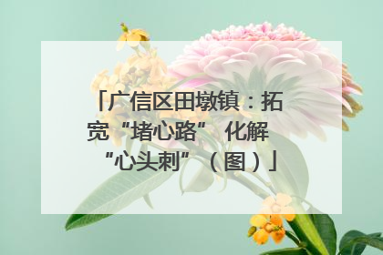 广信区田墩镇：拓宽“堵心路” 化解“心头刺”（图）