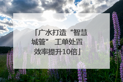 广水打造“智慧城管” 工单处置效率提升10倍
