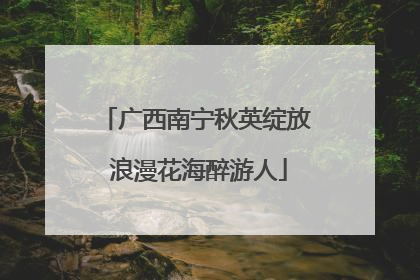 广西南宁秋英绽放 浪漫花海醉游人