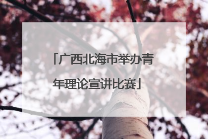 广西北海市举办青年理论宣讲比赛