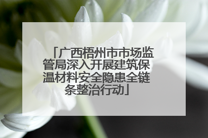 广西梧州市市场监管局深入开展建筑保温材料安全隐患全链条整治行动