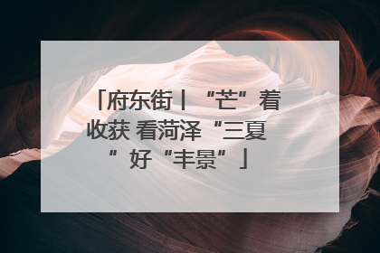 府东街丨“芒”着收获 看菏泽“三夏”好“丰景”