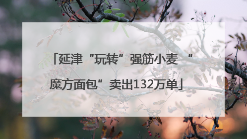 延津“玩转”强筋小麦 “魔方面包”卖出132万单
