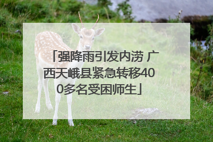 强降雨引发内涝 广西天峨县紧急转移400多名受困师生