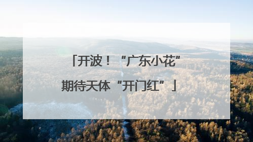 开波！“广东小花”期待天体“开门红”