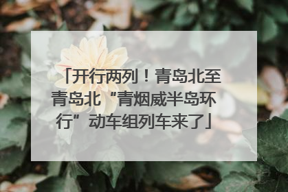 开行两列！青岛北至青岛北“青烟威半岛环行”动车组列车来了