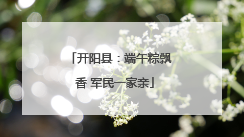 开阳县：端午粽飘香 军民一家亲