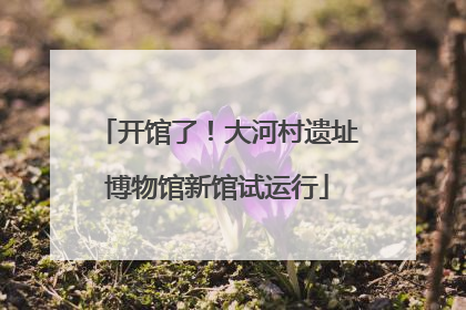 开馆了！大河村遗址博物馆新馆试运行