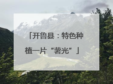 开鲁县：特色种植一片“薯光”