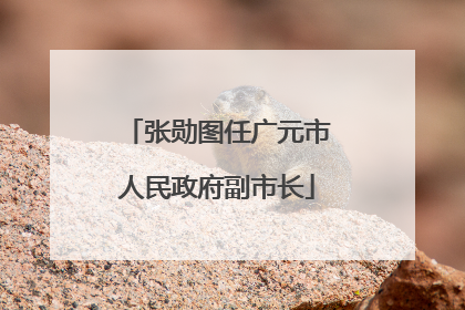 张勋图任广元市人民政府副市长