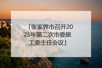 张家界市召开2025年第二次市委旅工委主任会议