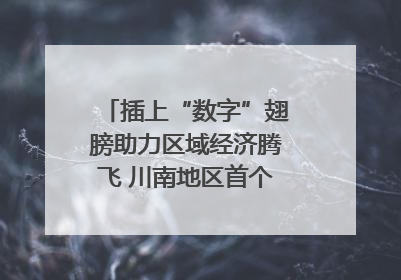 插上“数字”翅膀助力区域经济腾飞 川南地区首个智算中心启动