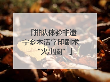 排队体验非遗 宁乡木活字印刷术“火出圈”