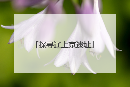 探寻辽上京遗址