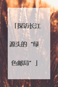 探访长江源头的“绿色邮局”