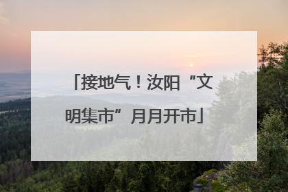 接地气！汝阳“文明集市”月月开市