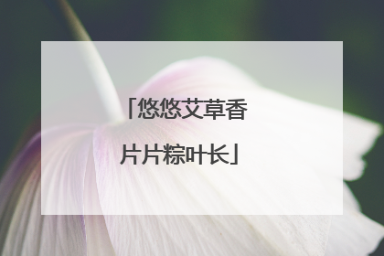 悠悠艾草香 片片粽叶长