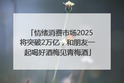 情绪消费市场2025将突破2万亿，和朋友一起喝好酒梅见青梅酒