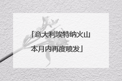 意大利埃特纳火山本月内再度喷发