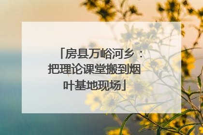 房县万峪河乡：把理论课堂搬到烟叶基地现场