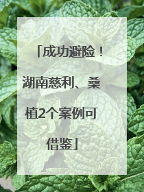 成功避险！湖南慈利、桑植2个案例可借鉴