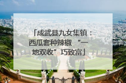 成武县九女集镇：西瓜套种辣椒 “一地双收”巧致富