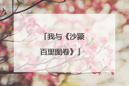 我与《沙颍百里图卷》