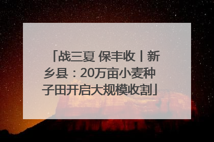 战三夏 保丰收丨新乡县：20万亩小麦种子田开启大规模收割