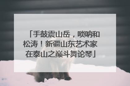 手鼓震山岳，唢呐和松涛！新疆山东艺术家在泰山之巅斗舞论琴