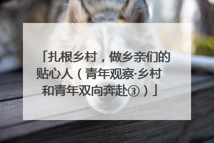 扎根乡村，做乡亲们的贴心人（青年观察·乡村和青年双向奔赴③）