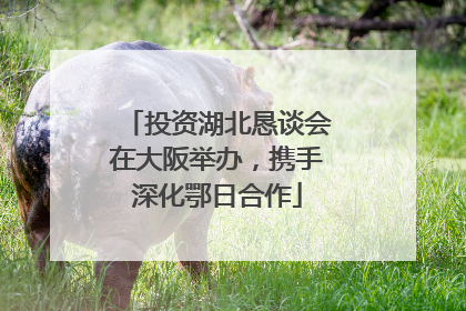 投资湖北恳谈会在大阪举办，携手深化鄂日合作