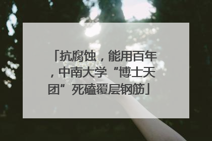 抗腐蚀，能用百年，中南大学“博士天团”死磕覆层钢筋