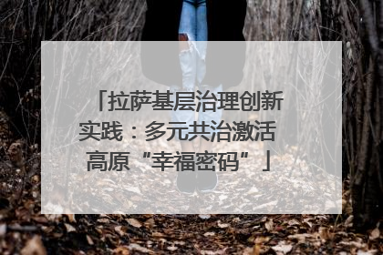 拉萨基层治理创新实践：多元共治激活高原“幸福密码”
