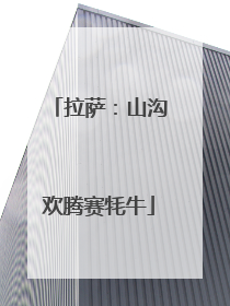 拉萨：山沟欢腾赛牦牛