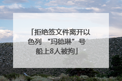 拒绝签文件离开以色列 “玛德琳”号船上8人被拘