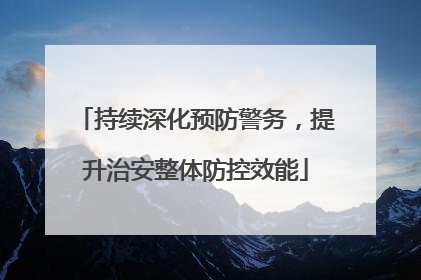 持续深化预防警务，提升治安整体防控效能