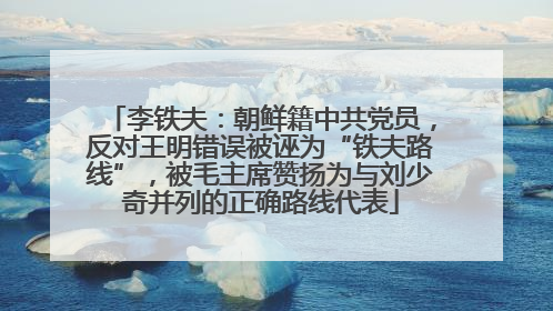 李铁夫：朝鲜籍中共党员，反对王明错误被诬为“铁夫路线”，被毛主席赞扬为与刘少奇并列的正确路线代表