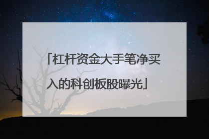 杠杆资金大手笔净买入的科创板股曝光
