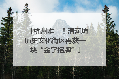 杭州唯一！清河坊历史文化街区再获一块“金字招牌”